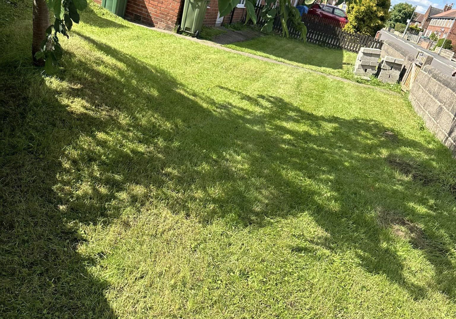 366044045_151640841298933_7099139549493783971_n Garden Maintenance